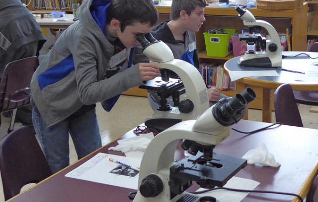 Student looks through microscope